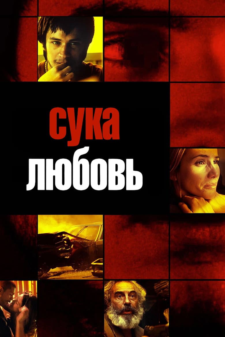 Сука-любовь