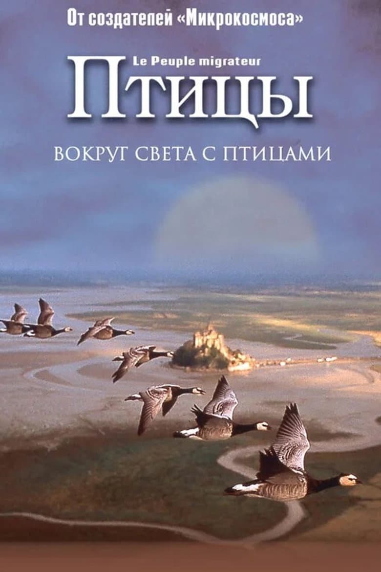 Птицы