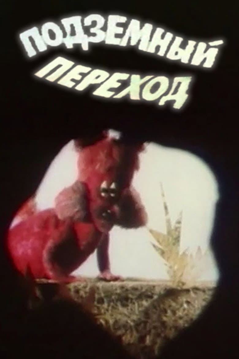 Подземный переход