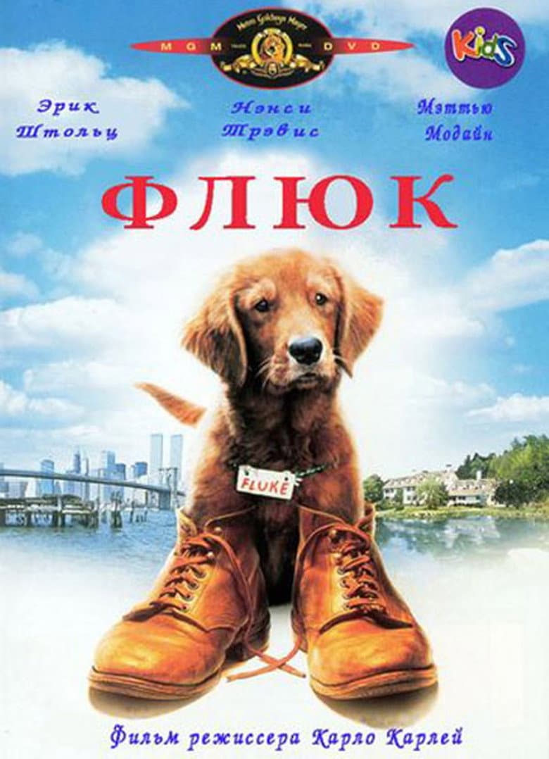 Флюк