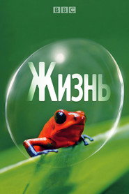 Жизнь